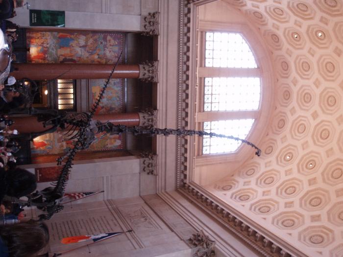 Picture of P3120013.jpg