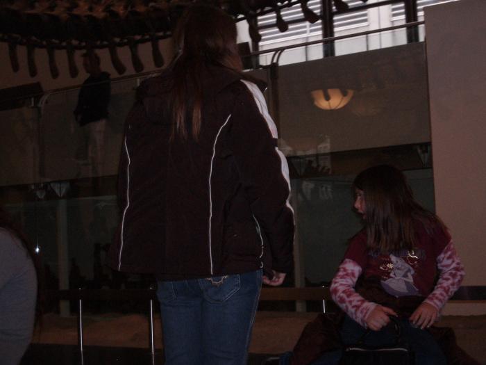 Picture of P3120028.jpg