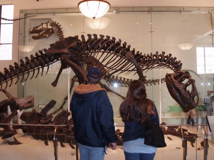 Picture of P3120029.jpg