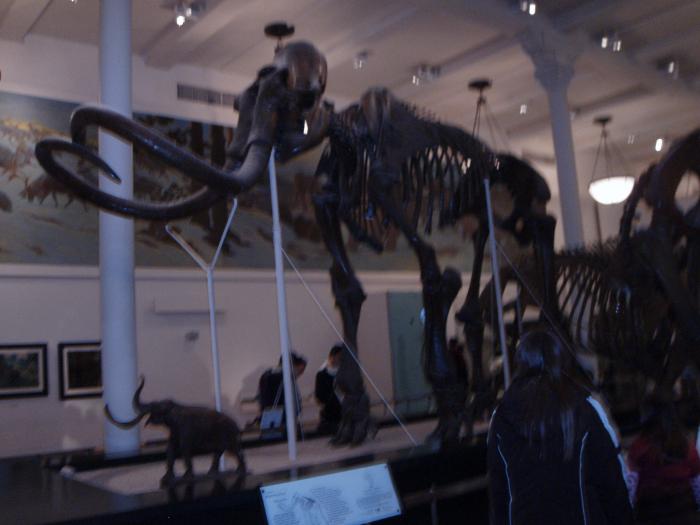 Picture of P3120031.jpg