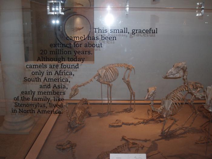 Picture of P3120032.jpg