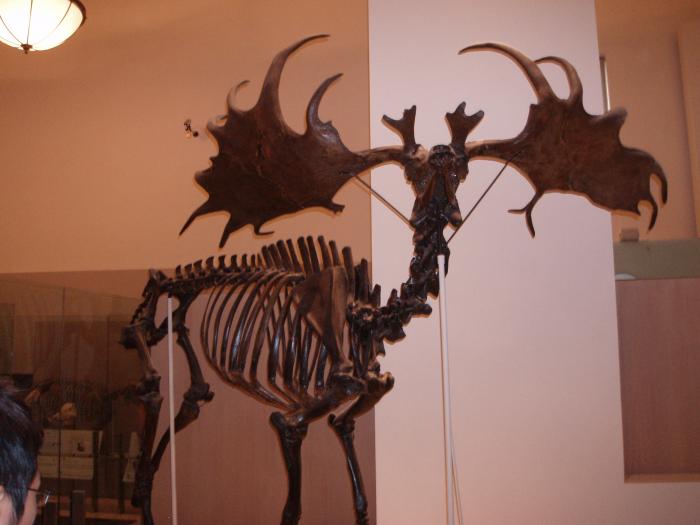 Picture of P3120033.jpg