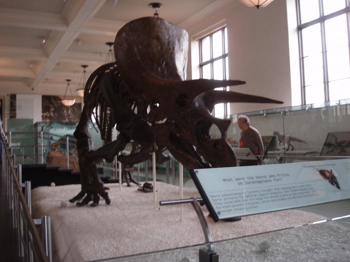 Picture of P3120034.jpg