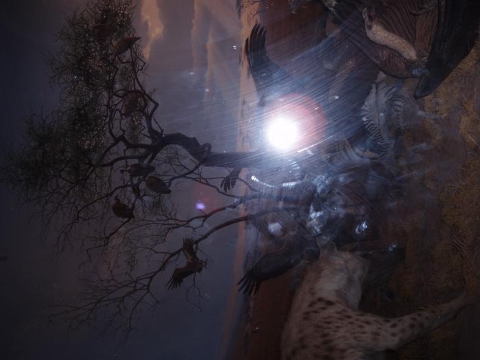 Picture of P3120035.jpg