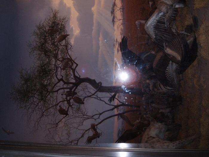 Picture of P3120036.jpg