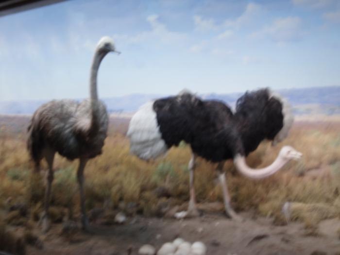 Picture of P3120037.jpg