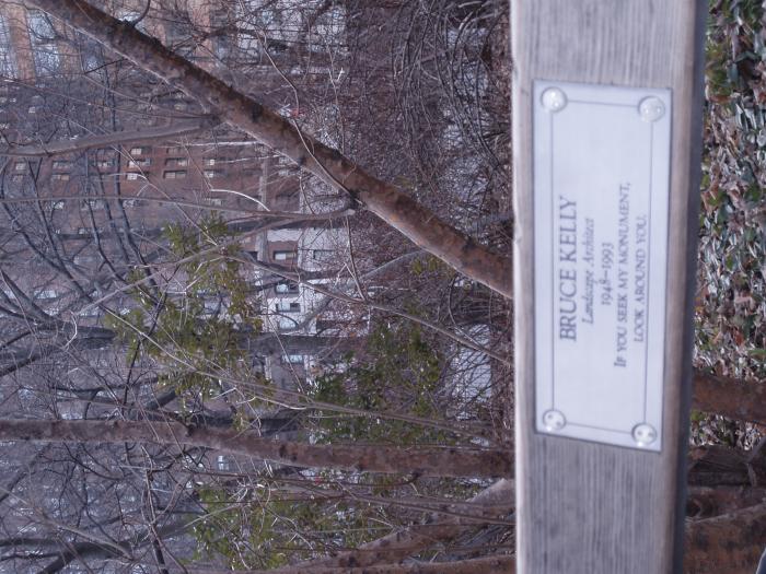 Picture of P3130042.jpg